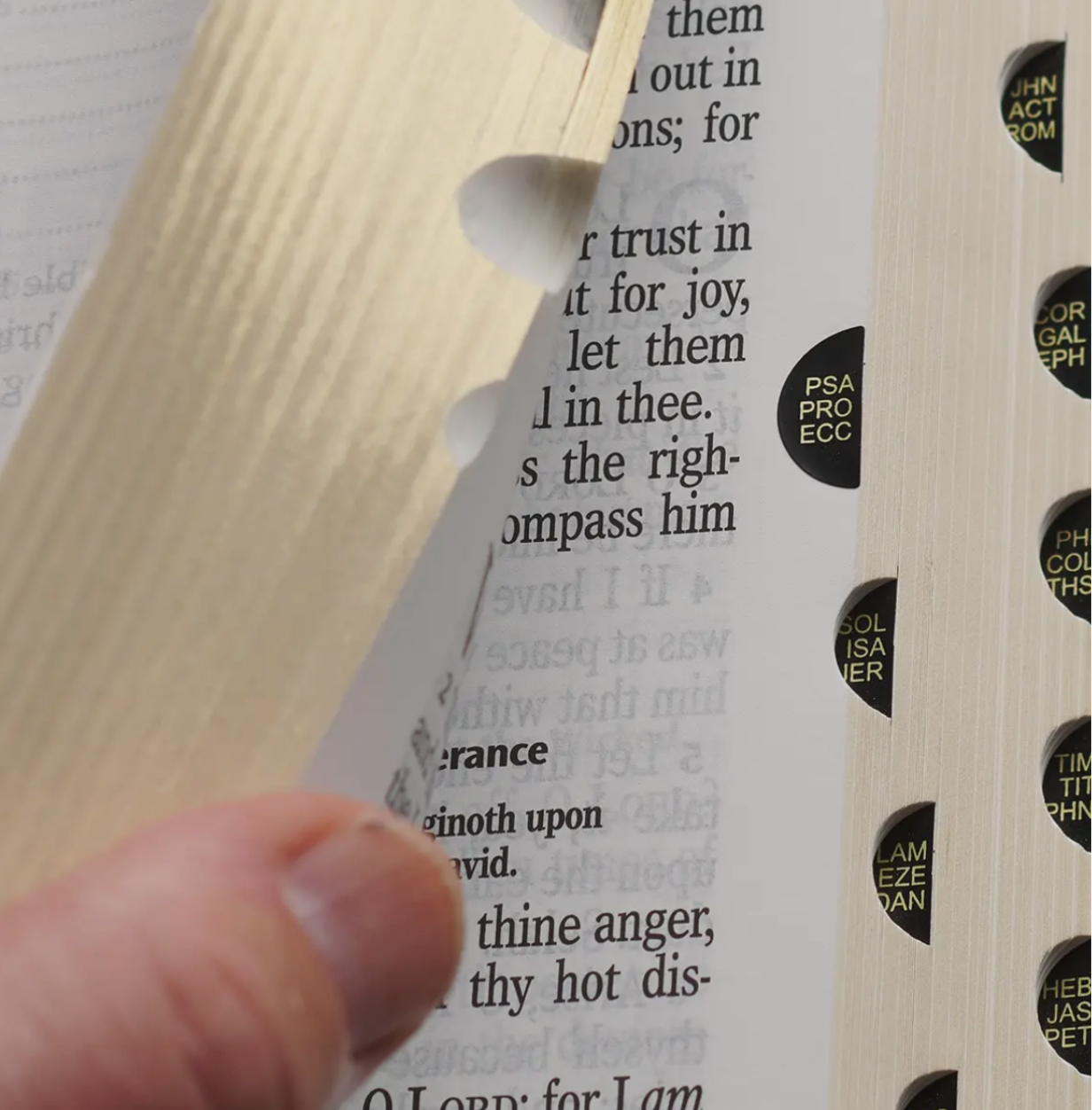 KJV Large Print Pink