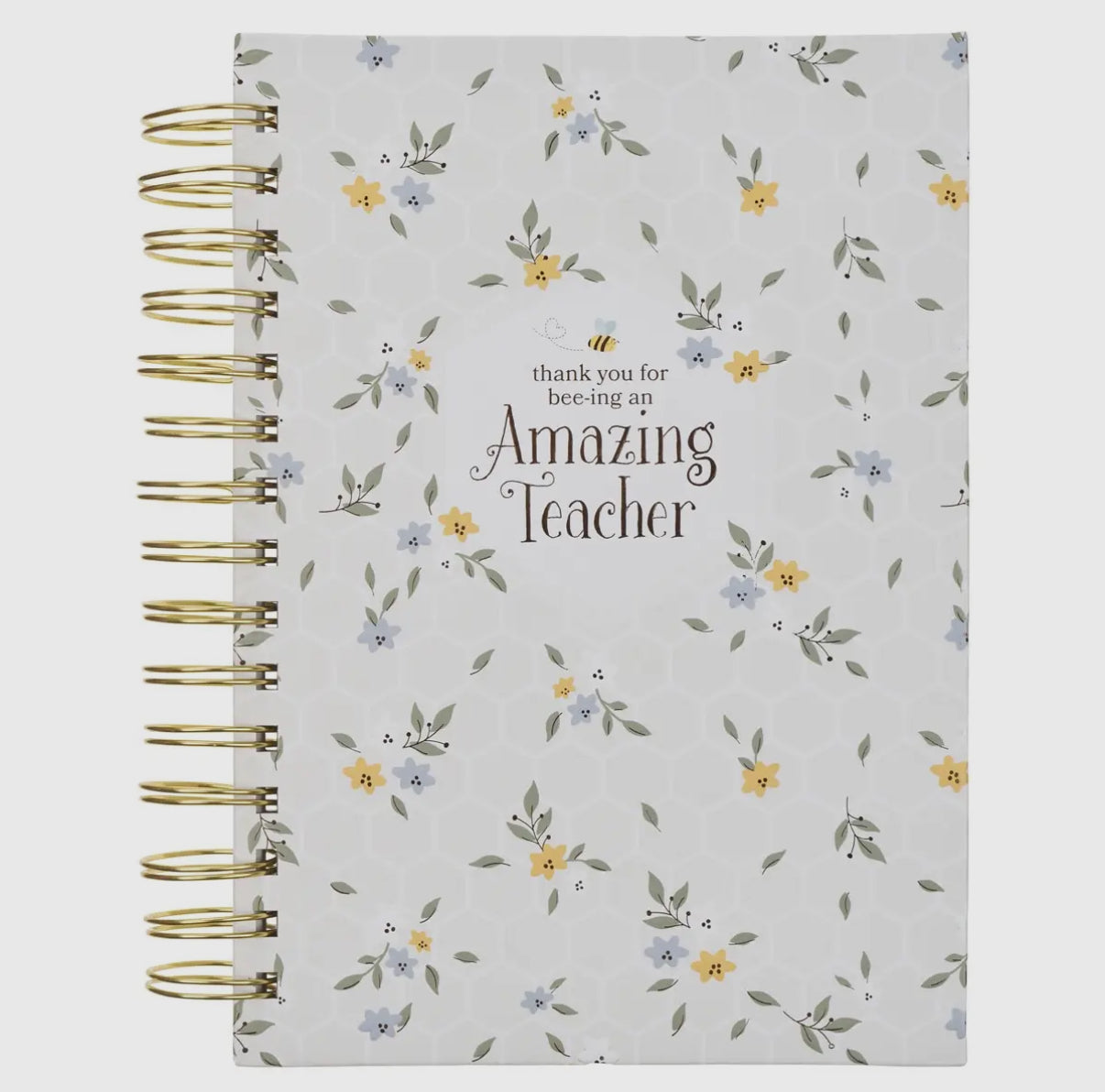 Amazing Teacher Journal