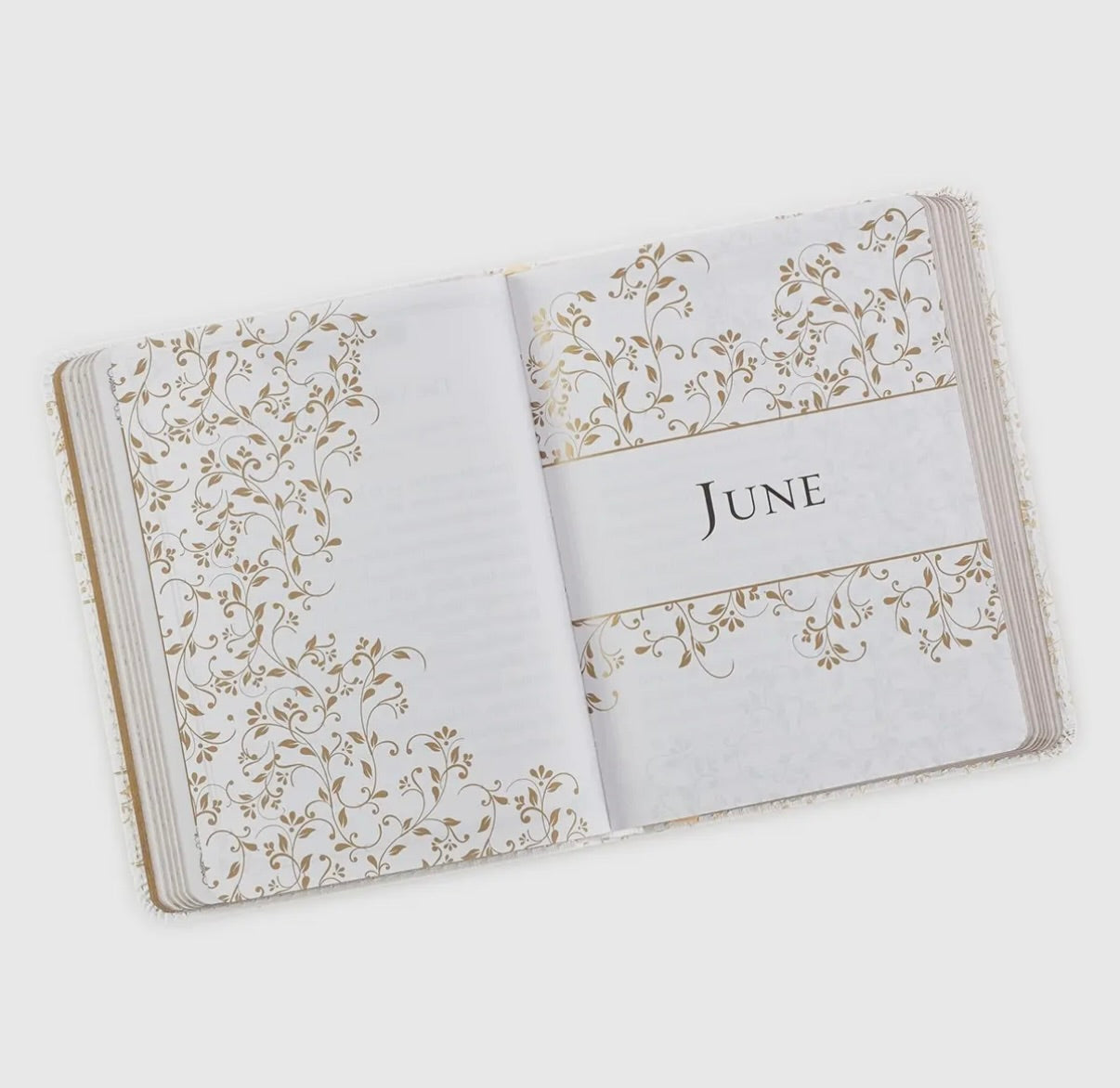 One Minute Devotion Leather