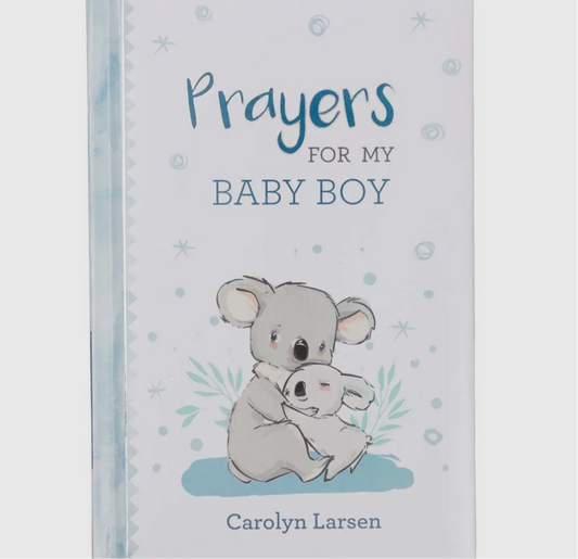 Kid Book Prayers For Boys