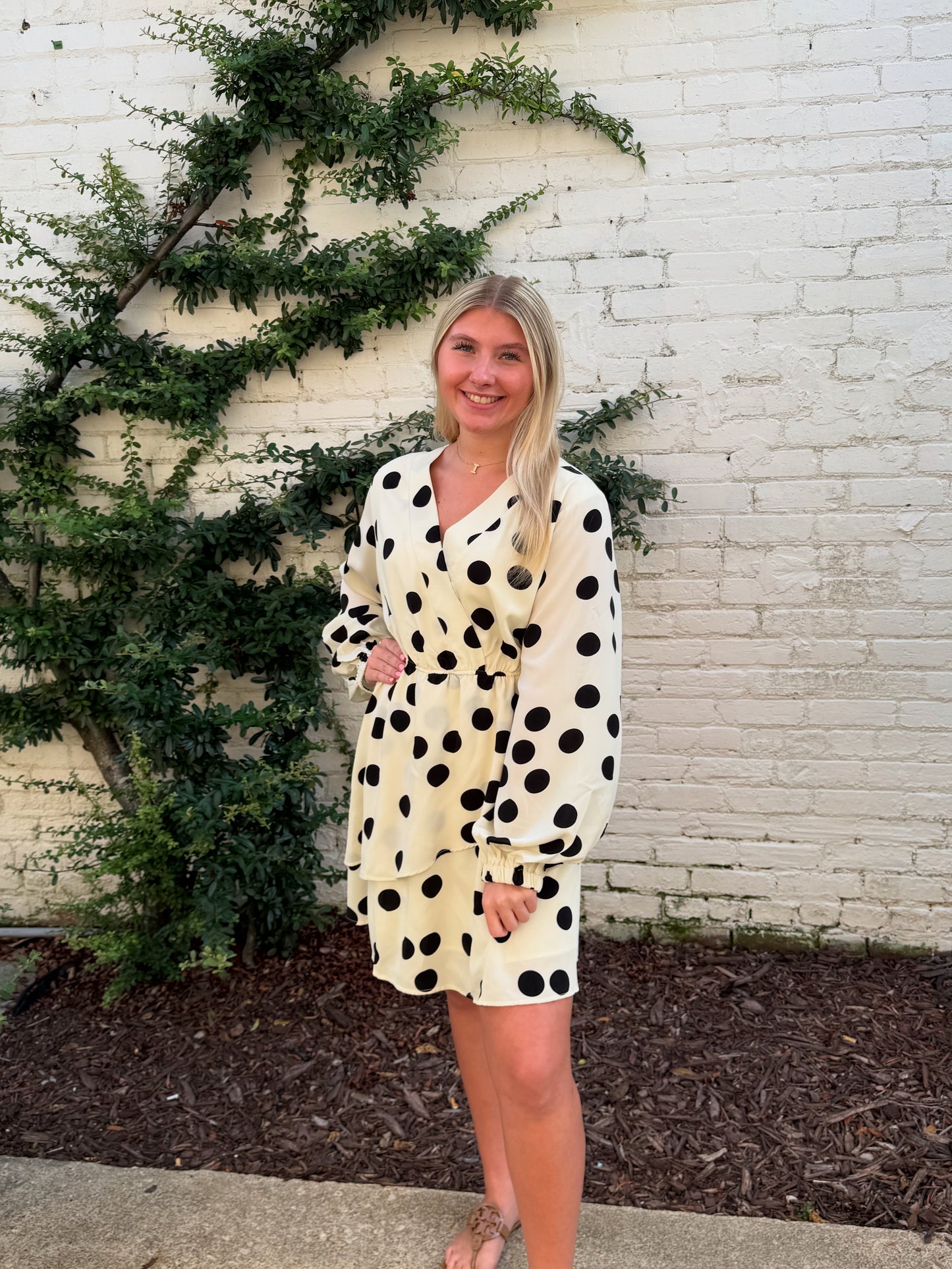 Polka Dot Dress