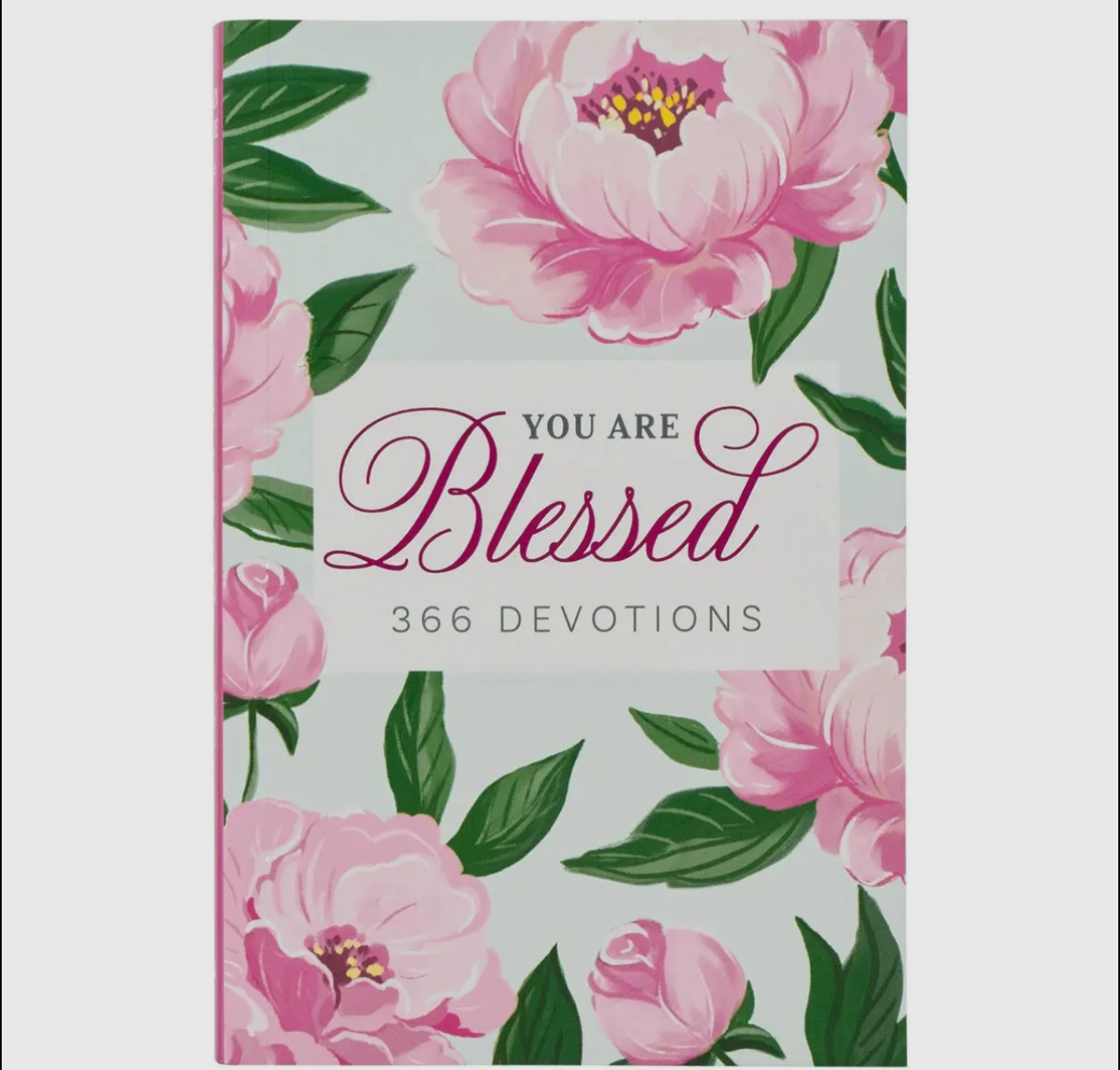 You Are Blessed Softcover